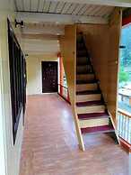 Apex Inn Trackers Sharda Kashmir