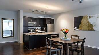 Bold CozySuites w/pool, gym, roof 8