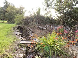 Y Felin at Coed Cadw