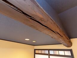 INN Plus General Castle