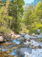 Madpackers Jibhi - Hostel