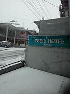 Cecil Hotel