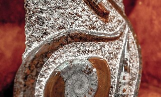 Hacienda Tepetlcalli 1870 Hotel Museo & Spa