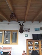 Tourist Cottage Hunza