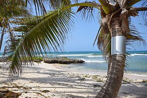 Oceanfront 2-bed Apt With Pool Near Surfing - Rosalie #2 2 Bedroom Apt