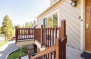 Sundance at Warriors Mark #4