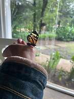 Hotel Santa Rosa Comitan