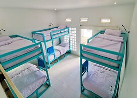 Mad Monkey Kuta Lombok - Hostel