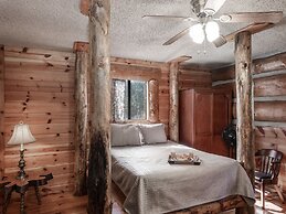 Mechem Dr Bear/Fox by VTrips