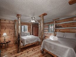 Mechem Dr Bear/Fox by VTrips