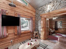 Mechem Dr Bear/Fox by VTrips