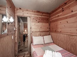 Mechem Dr Bear/Fox by VTrips