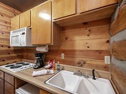 Mechem Dr Bear/Fox by VTrips