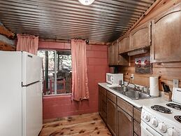 Mechem Dr Bear/Fox by VTrips