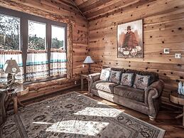 Mechem Dr Bear/Fox by VTrips