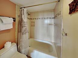 Maui Banyan by VTrips