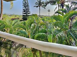 Maui Banyan by VTrips