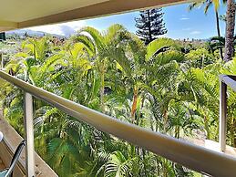 Maui Banyan by VTrips