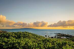 Maui Banyan by VTrips