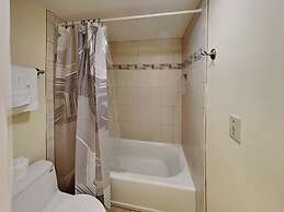 Maui Banyan by VTrips