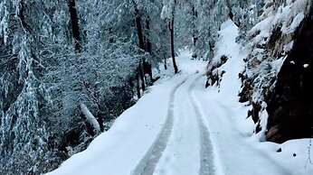 Nawab Palace Hotel & Restaurant