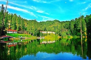 Nawab Palace Hotel & Restaurant