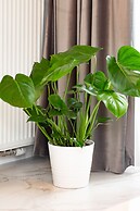 Apartment Dzielna Warsaw by Renters