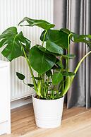 Apartment Dzielna Warsaw by Renters