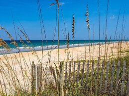 Canopy Walk by VTrips