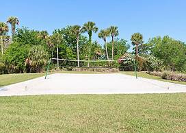 Canopy Walk by VTrips