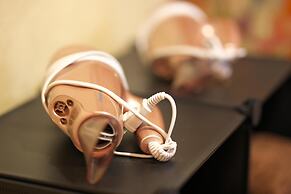 Villa Liberte Hakone Gora