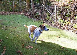 Villa Liberte Hakone Gora