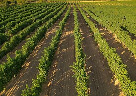 Bengodi Boutique Hotel