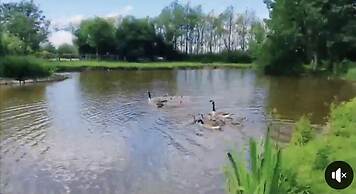 Remarkable 2-bed Villa Caravan in Driffield