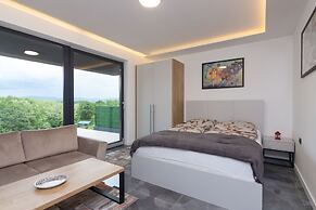Deluxe Feliciano Apartments