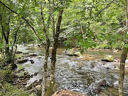 Rippling Waters #278