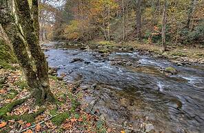 Rippling Waters #278