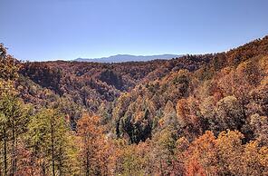 Bearview Heights #244