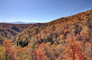 Bearview Heights #244