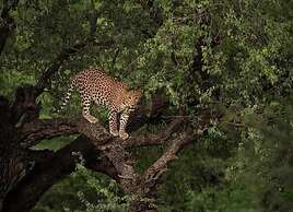 Hyatt Place Jaipur Malviya Nagar