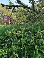 Stunning 1-bed Cabin in Totnes