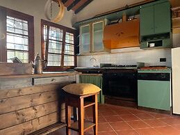 Gatto Bianco Tizzauli