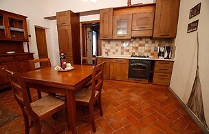 Gatto Bianco Tizzauli