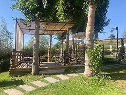 Gatto Bianco Tizzauli