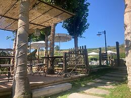 Gatto Bianco Tizzauli