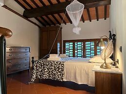 Gatto Bianco Tizzauli