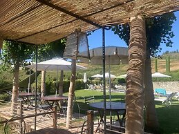 Gatto Bianco Tizzauli