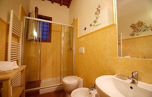 Gatto Bianco Tizzauli