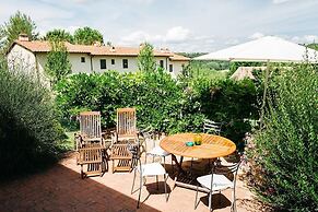 Gatto Bianco Tizzauli