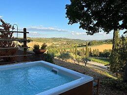 Gatto Bianco Tizzauli